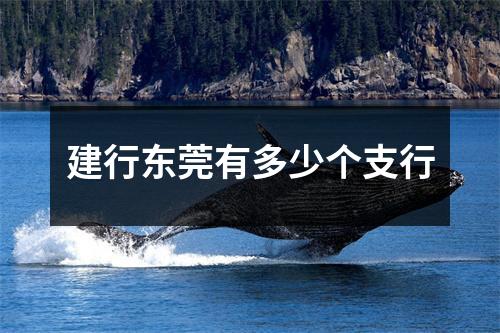 建行东莞有多少个支行