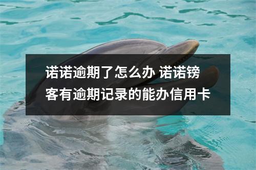 诺诺逾期了怎么办 诺诺镑客有逾期记录的能办信用卡