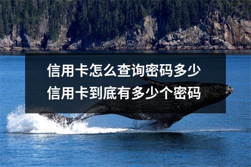 信用卡怎么查询密码多少 信用卡到底有多少个密码