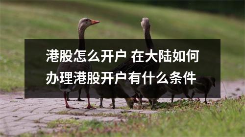 港股怎么开户 在大陆如何办理港股开户有什么条件