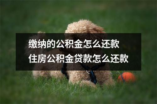 缴纳的公积金怎么还款 住房公积金贷款怎么还款