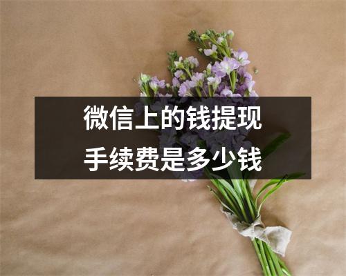 微信上的钱提现手续费是多少钱