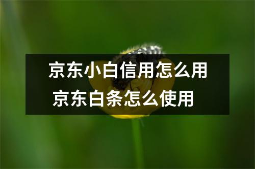 京东小白信用怎么用 京东白条怎么使用
