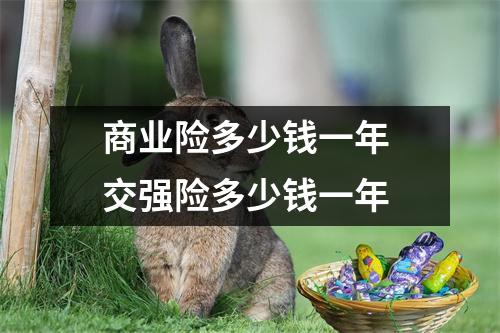 商业险多少钱一年 交强险多少钱一年