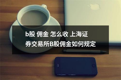 b股 佣金 怎么收 上海证券交易所B股佣金如何规定