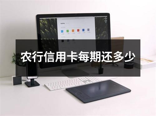 农行信用卡每期还多少