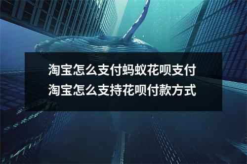 淘宝怎么支付蚂蚁花呗支付 淘宝怎么支持花呗付款方式
