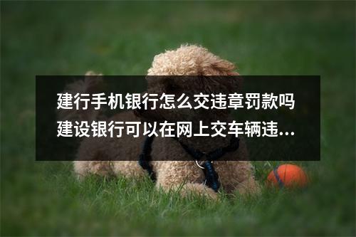 建行手机银行怎么交违章罚款吗 建设银行可以在网上交车辆违章罚款