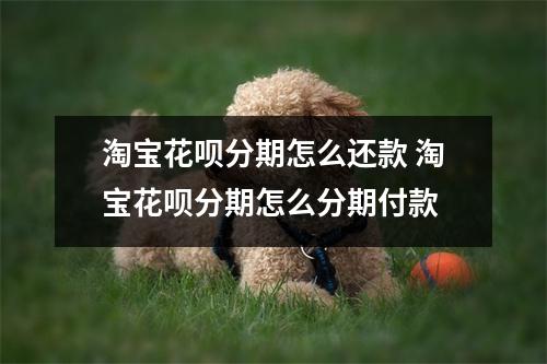 淘宝花呗分期怎么还款 淘宝花呗分期怎么分期付款