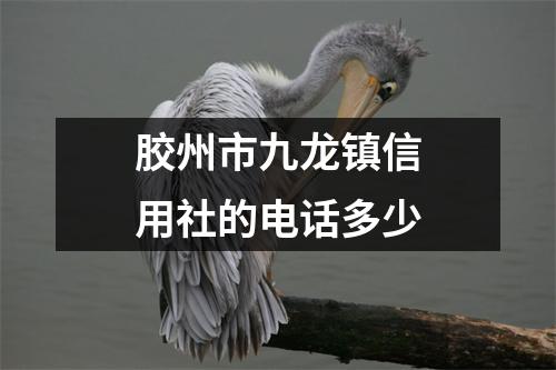 胶州市九龙镇信用社的电话多少