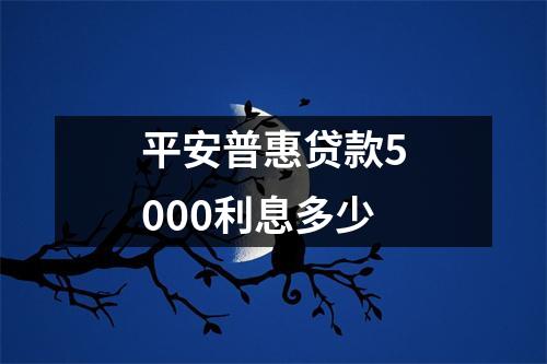 平安普惠贷款5000利息多少