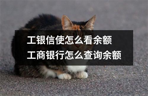 工银信使怎么看余额 工商银行怎么查询余额