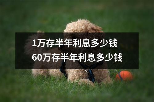 1万存半年利息多少钱 60万存半年利息多少钱
