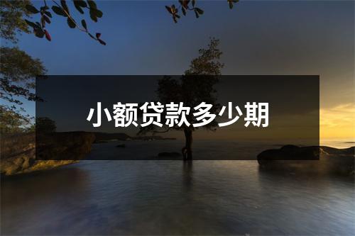小额贷款多少期