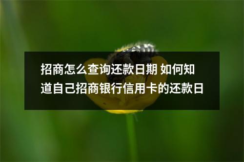 招商怎么查询还款日期 如何知道自己招商银行信用卡的还款日