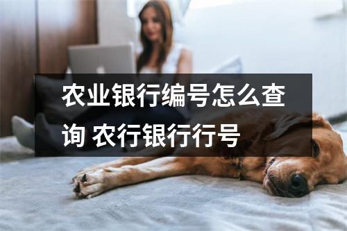 农业银行编号怎么查询 农行银行行号