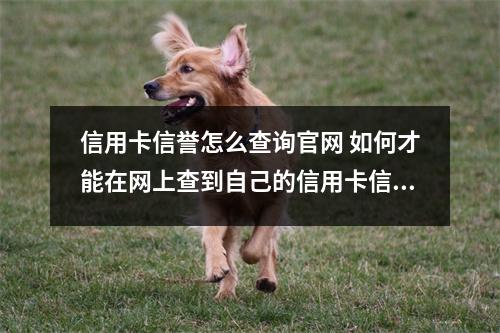 信用卡信誉怎么查询官网 如何才能在网上查到自己的信用卡信用报告中国人民银行的