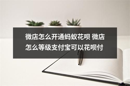 微店怎么开通蚂蚁花呗 微店怎么等级支付宝可以花呗付