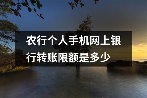 农行个人手机网上银行转账限额是多少