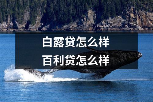 白露贷怎么样 百利贷怎么样