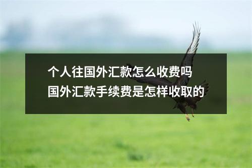 个人往国外汇款怎么收费吗 国外汇款手续费是怎样收取的