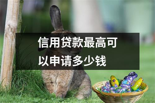 信用贷款最高可以申请多少钱