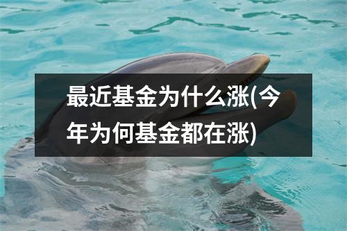最近基金为什么涨(今年为何基金都在涨)