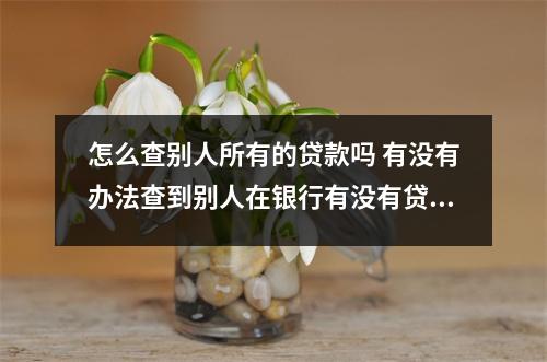 怎么查别人所有的贷款吗 有没有办法查到别人在银行有没有贷款