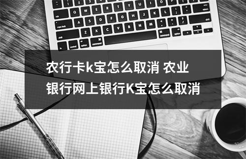 农行卡k宝怎么取消 农业银行网上银行K宝怎么取消