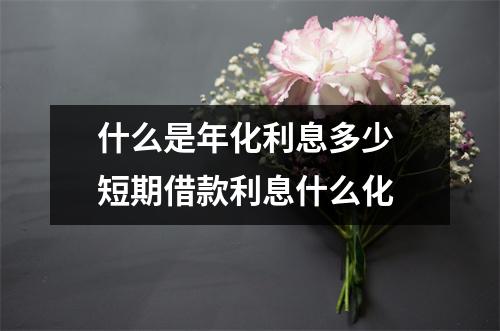 什么是年化利息多少 短期借款利息什么化