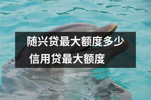 随兴贷最大额度多少 信用贷最大额度