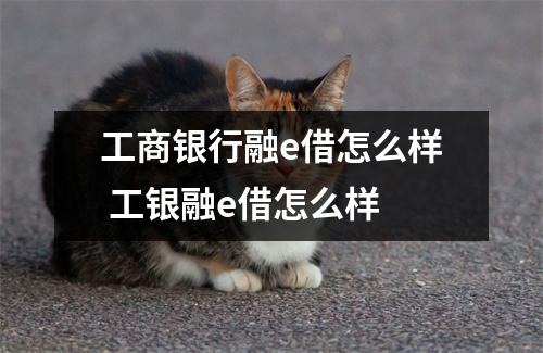 工商银行融e借怎么样 工银融e借怎么样