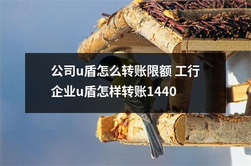 公司u盾怎么转账限额 工行企业u盾怎样转账1440