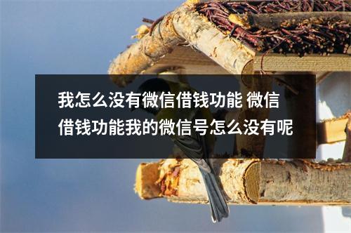 我怎么没有微信借钱功能 微信借钱功能我的微信号怎么没有呢