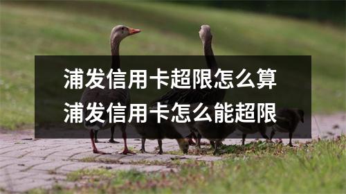 浦发信用卡超限怎么算 浦发信用卡怎么能超限