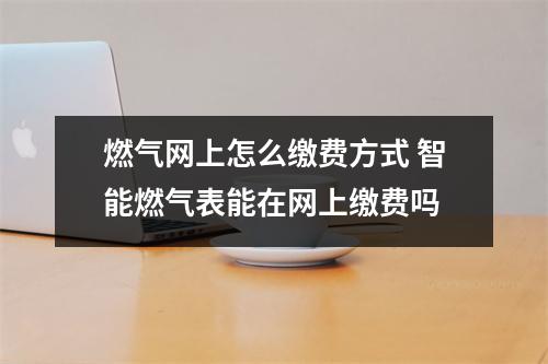 燃气网上怎么缴费方式 智能燃气表能在网上缴费吗
