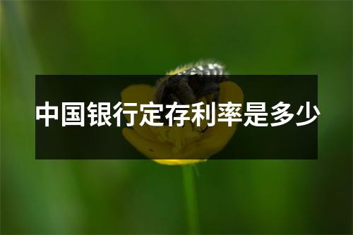 中国银行定存利率是多少