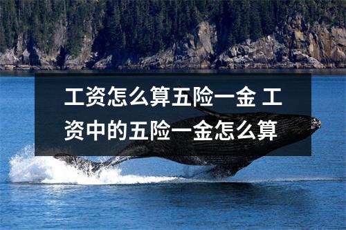 工资怎么算五险一金 工资中的五险一金怎么算