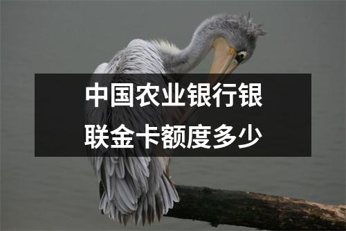 中国农业银行银联金卡额度多少