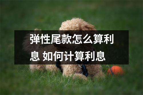 弹性尾款怎么算利息 如何计算利息