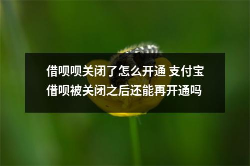 借呗呗关闭了怎么开通 支付宝借呗被关闭之后还能再开通吗
