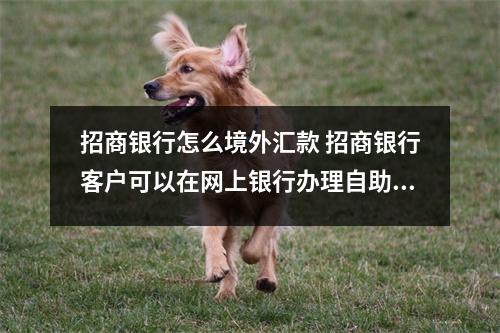 招商银行怎么境外汇款 招商银行客户可以在网上银行办理自助境外汇款吗