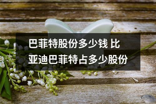 巴菲特股份多少钱 比亚迪巴菲特占多少股份