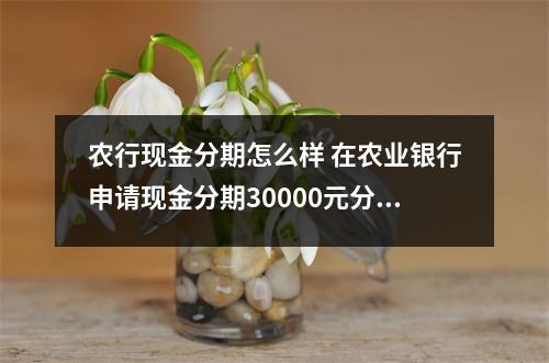 农行现金分期怎么样 在农业银行申请现金分期30000元分12期还请问本金跟利息一起