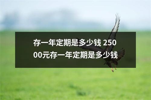 存一年定期是多少钱 25000元存一年定期是多少钱