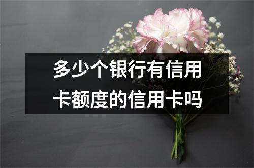 多少个银行有信用卡额度的信用卡吗