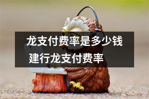 龙支付费率是多少钱 建行龙支付费率