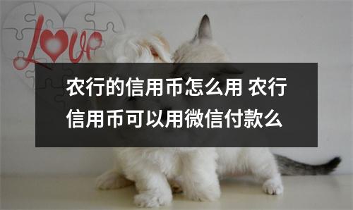 农行的信用币怎么用 农行信用币可以用微信付款么