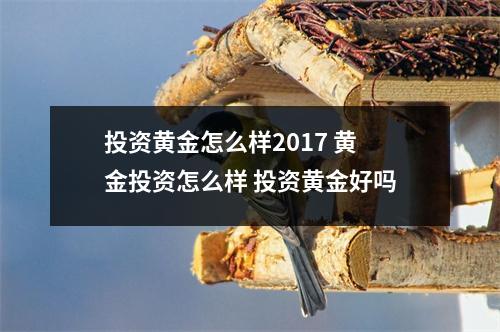 投资黄金怎么样2017 黄金投资怎么样 投资黄金好吗