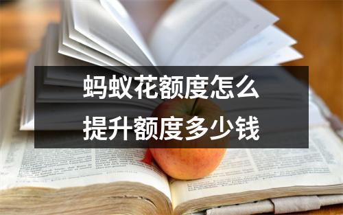 蚂蚁花额度怎么提升额度多少钱